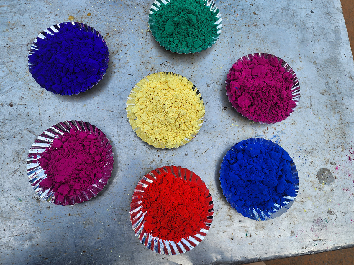 Holi Celebration