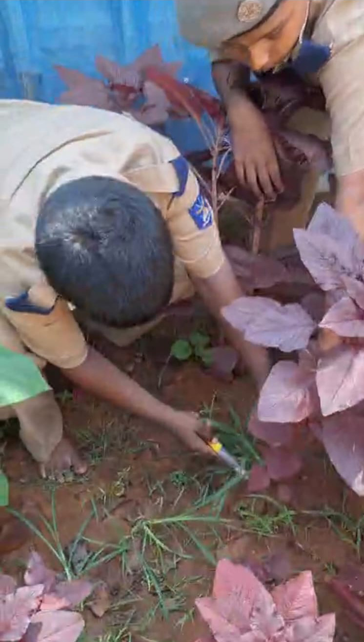 Sainik Hostel Veg Garden