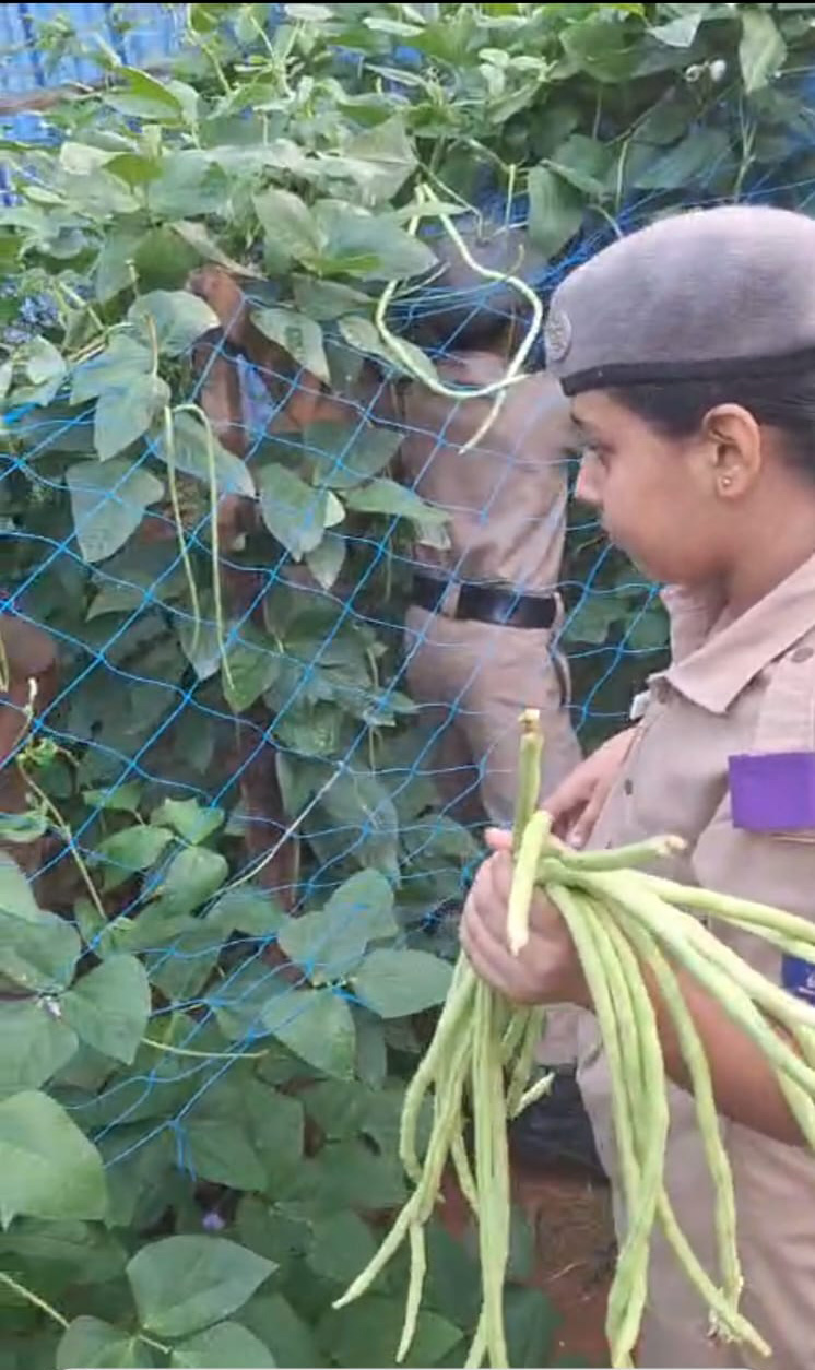 Sainik Hostel Veg Garden
