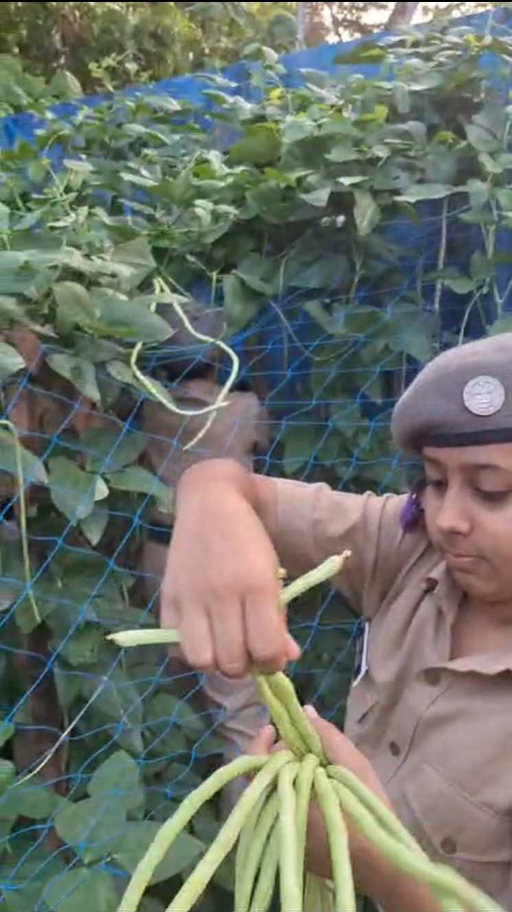 Sainik Hostel Veg Garden